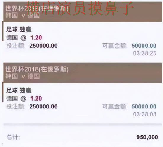 汇总世界杯投注平台合集：从平台排行到使用全流程解析 - 世界杯官方信息