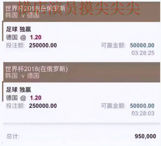 世界杯数据期间热门世界杯投注平台解析与真实体验分析 世界杯数据期间热门世界杯投注平台解析与真实体验分析